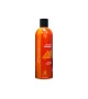 Bark 2 Basics Citrus Plus Shampoo 16 oz